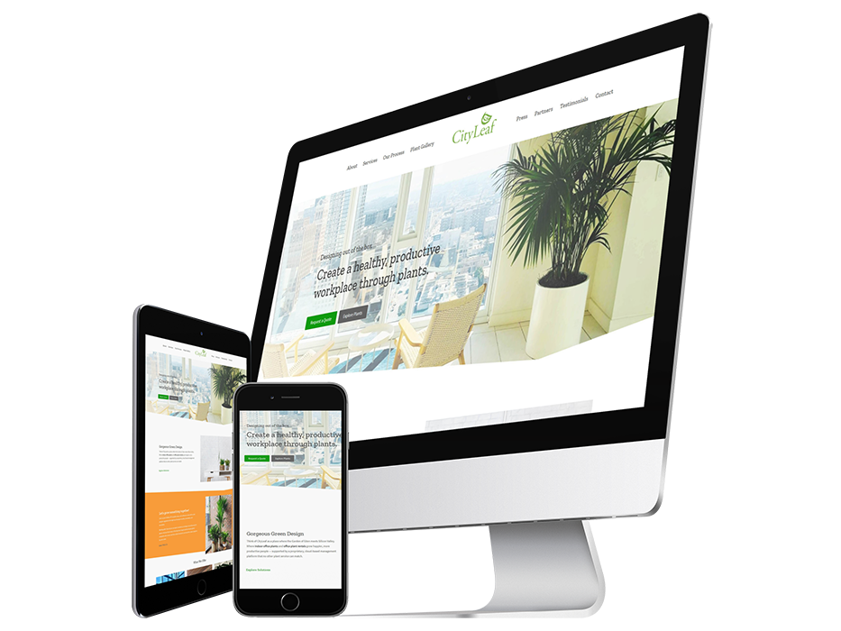 Website Design Services | Top Web Designer