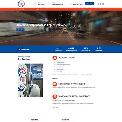 GoGetters Delivery website designed by Solutionarian Marketing & Web Design