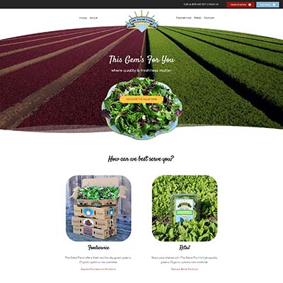 The Salad Farm website design by Solutionarian Marketing & Web Design