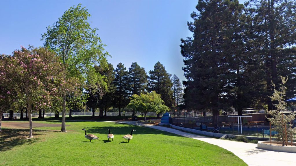 Redwood City CA Digital Marketing Agency - Solutionarian Marketing & Web Design